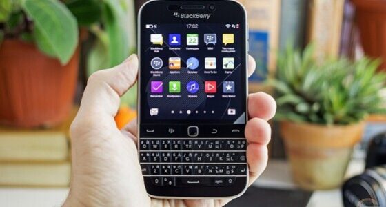 blackberry