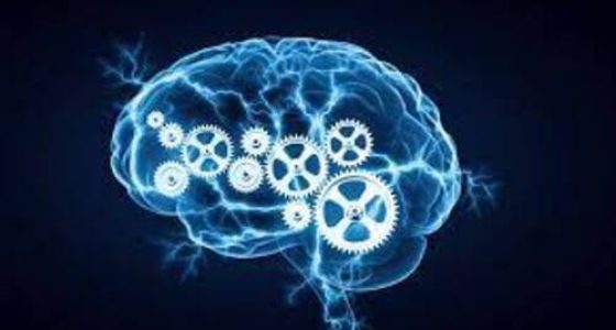 Intelligence Quotient